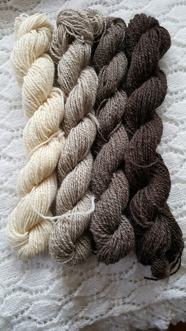 Masham fibre spun into a range of colours