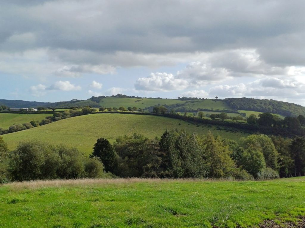 Picture shows fields, hills and trees