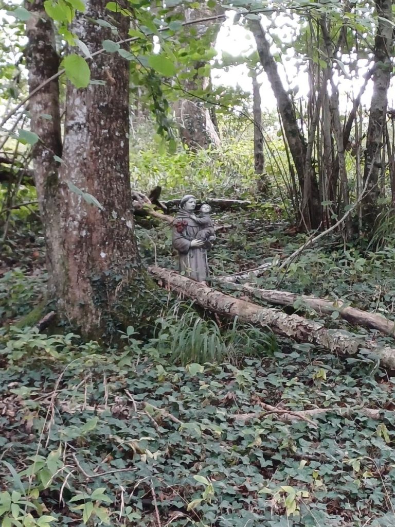 Picture shows woodland with a carved figure of a saint.